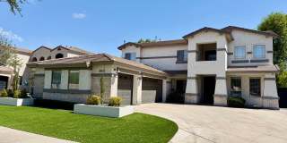 Stunning High End 4 Bedroom/2.5 Bath Two Story Home in Queen Creek! Private Pool and Unbelievable Upgrades Throughout! Stunning High End 4 Bedroom/2.5 Bath Two Story Home in Queen Creek! Private Pool and Unbelievable Upgrades Throughout! Gallery 1