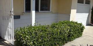 Beautiful 3 Bedroom, 1 Bathroom house Beautiful 3 Bedroom, 1 Bathroom house Gallery 7