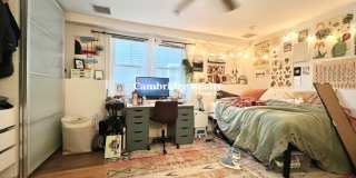 12 Fern St. Gallery 4