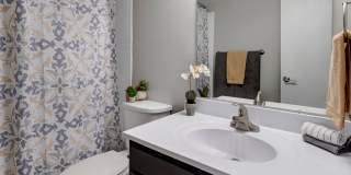 Rosehill Plaza Gallery 6