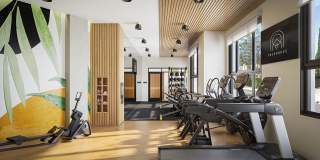 Treehouse Gallery 10