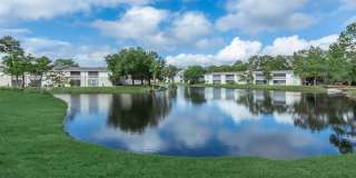 Amelia at Deerwood Gallery 10