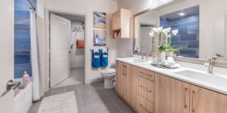 Vita Apartment Homes Gallery 10
