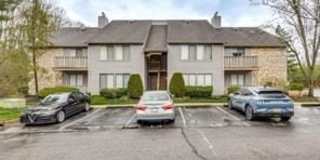 1929 THE WOODS II Gallery 1