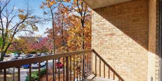 The Cloisters Gallery 22