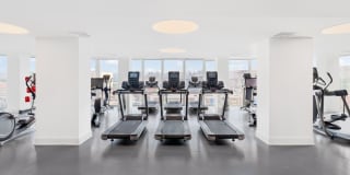 The Duchess Gallery 19