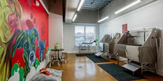 The Melrose Gallery 8