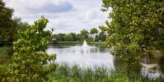 Lakeside Apartments Gallery 81