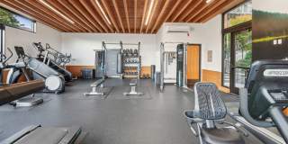 Leva on Market Gallery 22