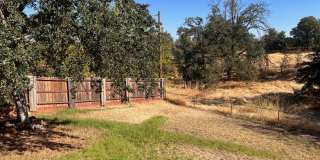 3 Bedroom Home With Large Backyard on West Side Gallery 18