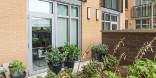 Harlow Navy Yard Gallery 35