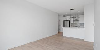 Rosa Gallery 4