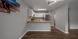 242 Elkhorn Meadows Drive Gallery 18