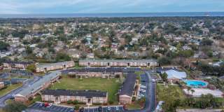 Sea Oats Sea Oats Gallery 22