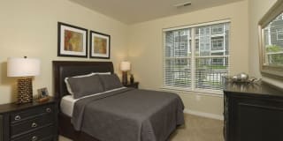 Avalon Laurel Gallery 14