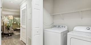 Spalding Bridge Gallery 9