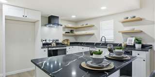 Spacious Olympia Hills Home Near Randolph AFB with a Massive Private Backyard! Gallery 13
