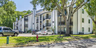 The Dawson Apartments Gallery 7