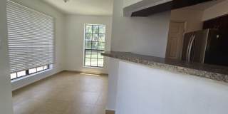 8711 Fancy Finch Dr Gallery 6