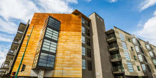 iLuminate Gallery 31