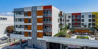 Citrus Commons Gallery 40