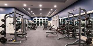 Grand Cypress Gallery 10