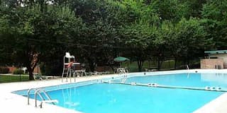 Glenmont Forest Gallery 29