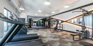 Tailor O4W Gallery 40