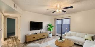 Rise Skyview Gallery 59