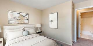 Shamrock Court Gallery 21
