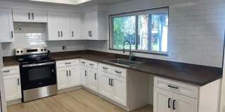 31242 Emperor Gallery 1