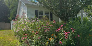 109 Reed Street Gallery 29