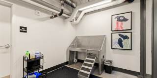 Byline Apartments Gallery 41