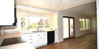 27972 Gallina Gallery 7