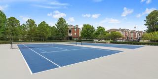 The Madison Apartments Gallery 16