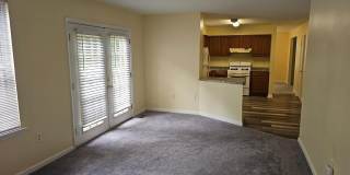 10800 SUGAR MAPLE Terrace Gallery 12
