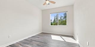 31042 Wildwoods Gallery 13