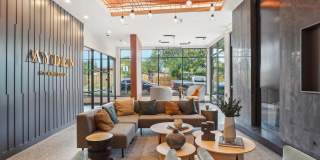 The Ayden Gallery 22