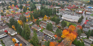 Eleven Pines Gallery 18