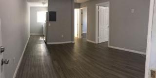 Elegant Apartments For Rent Gallery 11