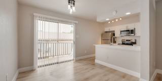 The Chandler Gallery 11