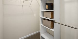 Celsius Apartment Homes Celsius Apartment Homes Gallery 12