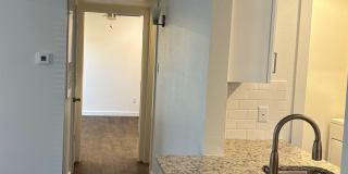 Pine Hills Gallery 5