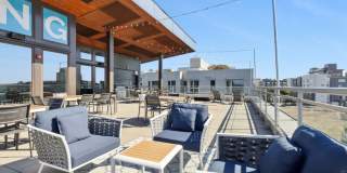 Eleanor Eleanor Gallery 8