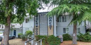 Sherwood Forest Gallery 1