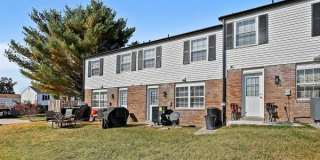 Village of Carrollwood Village of Carrollwood Gallery 1