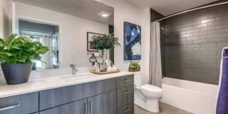 Windsor Queen Anne Gallery 19