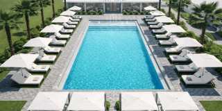 Coral Palms at Oakleaf Gallery 40