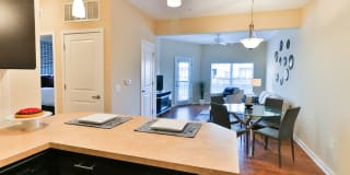 The Fenimore Gallery 7