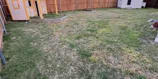 414 Spurlock Drive Gallery 11